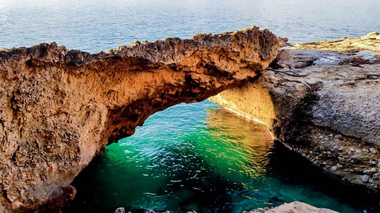 Es Fasser الكوذيا المظهر الخارجي الصورة